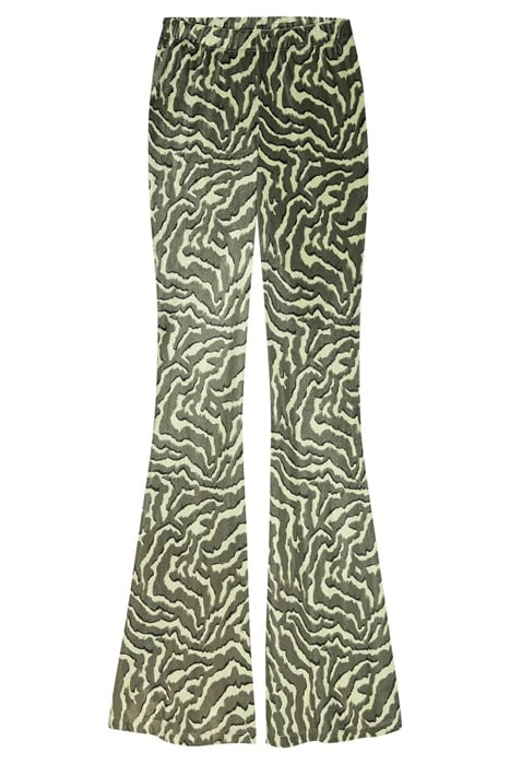 TR WILLOW SEA TURTLE 3