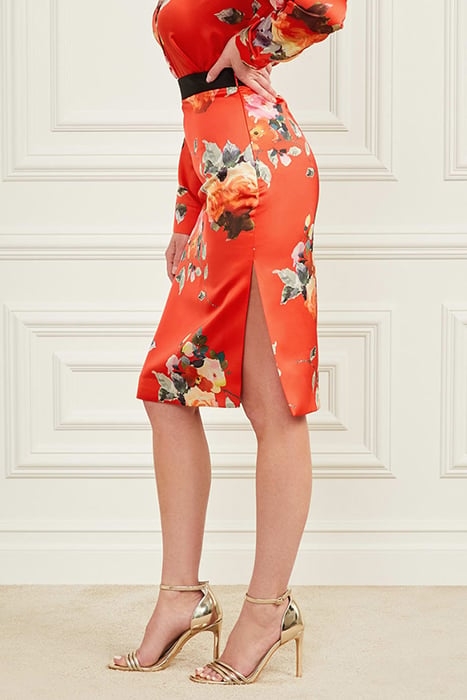 CORSAGE SKIRT PRINT 6