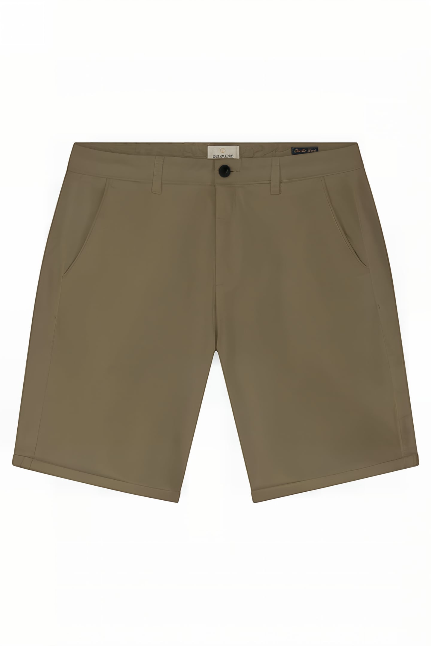 DS_CHARLIE SHORTS TIMBER WOLF 3