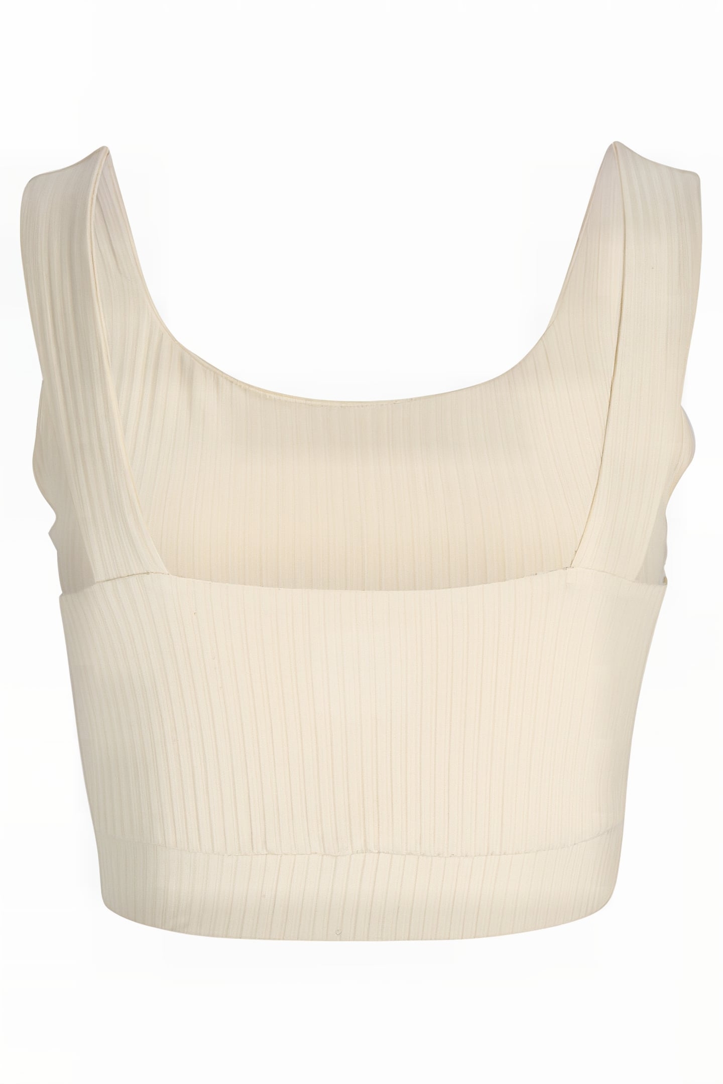 CASSIS CROPPED TOP SPARROW 2