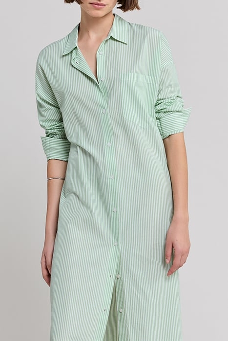 PISTACHIO STRIPED SHIRT WITH EMBROIDERED BACK 4
