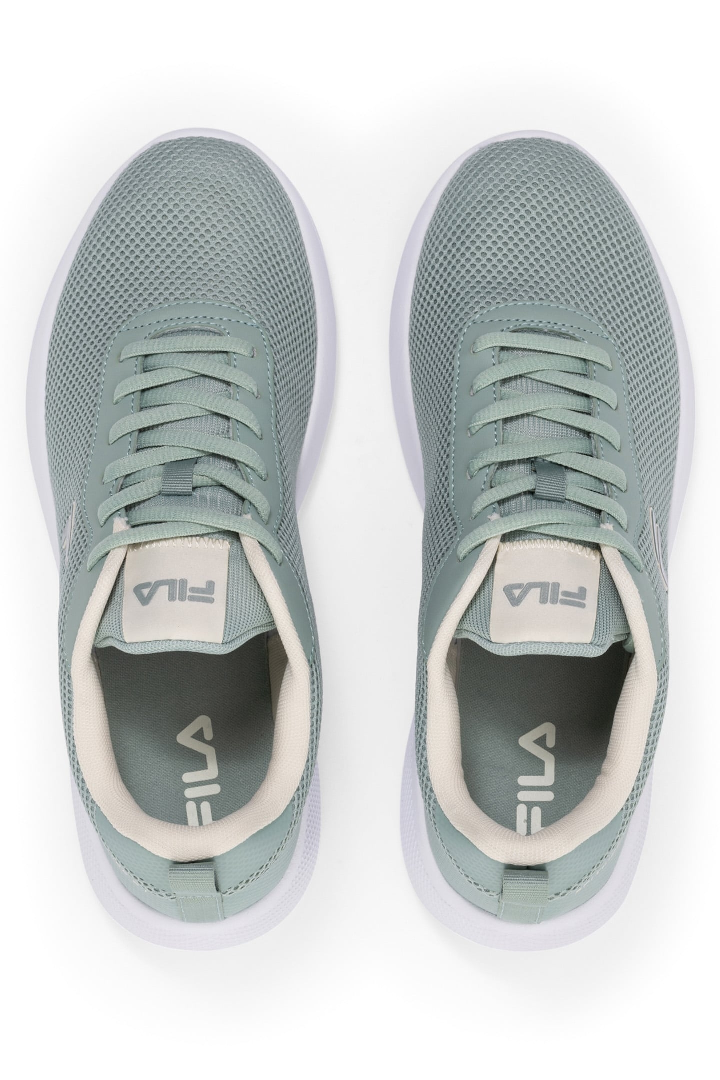 SPITFIRE WMN JADEITE-TURTLEDOVE 3