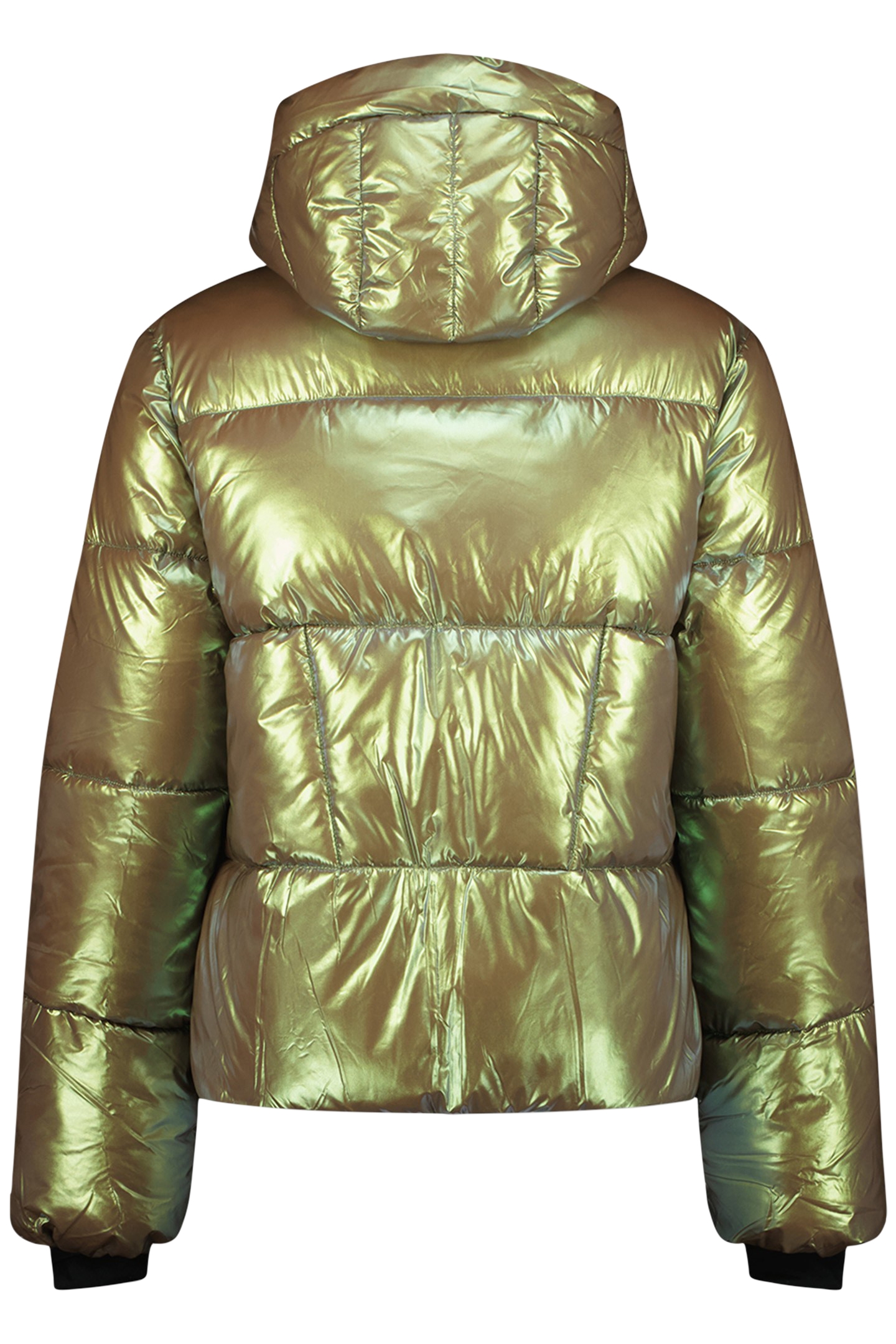 MORLEY JACKETS GREEN METALLIC 4