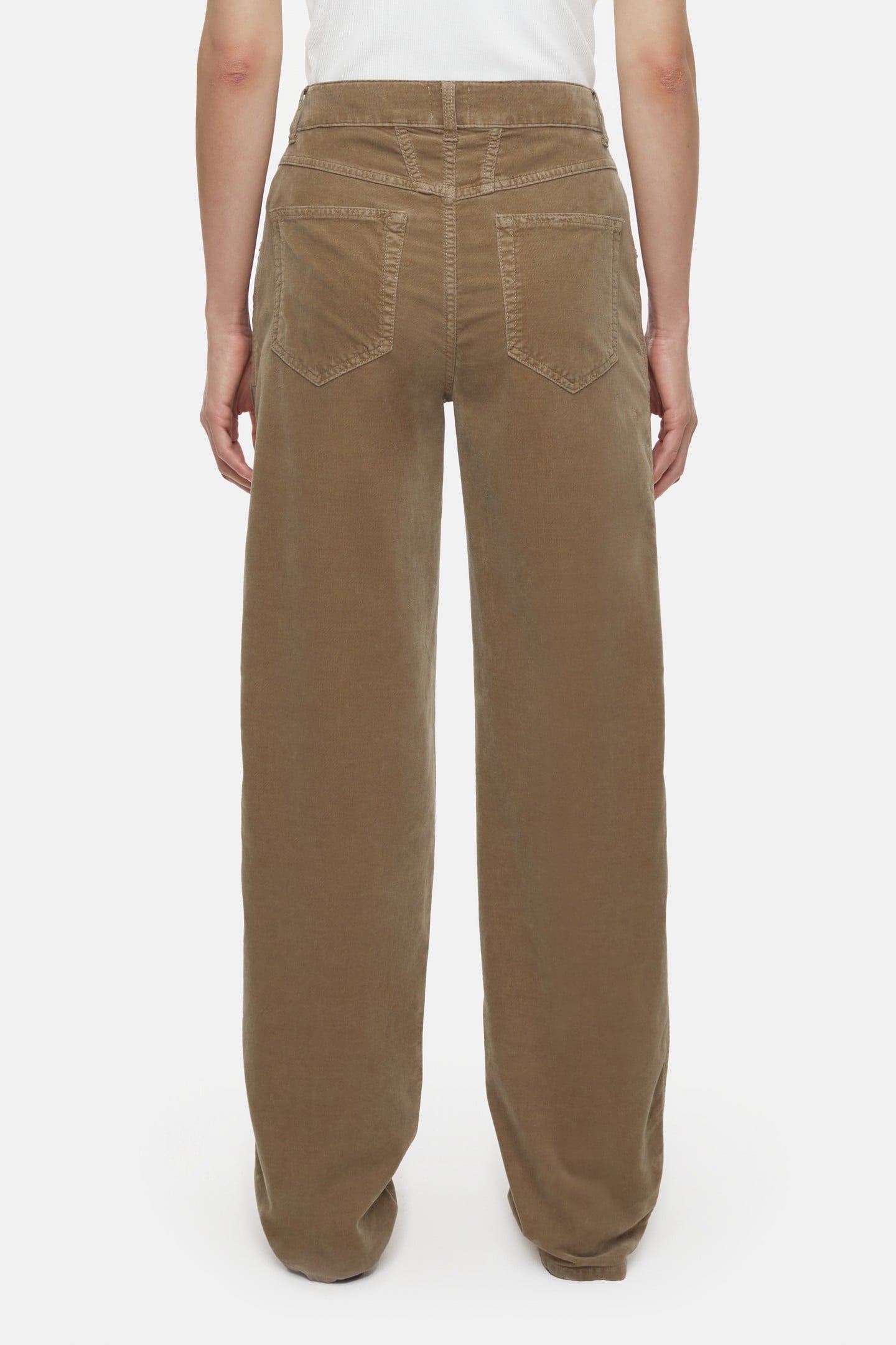 WELLINGTON PANTS OLD PINE 3