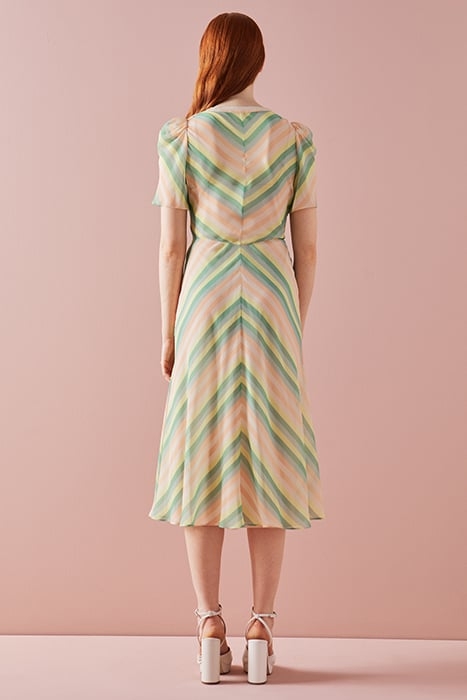 DR HOLZER MULTI STRIPE MULTI 3