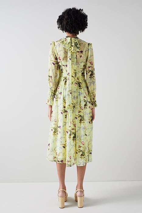 DR ELOISE - MEADOW SCENE MULTI 3