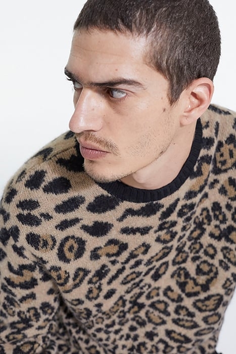 LEOPARD JACQUARD ROUND NECK SWEATER AND CONTRAST RIB LEOPARD 6
