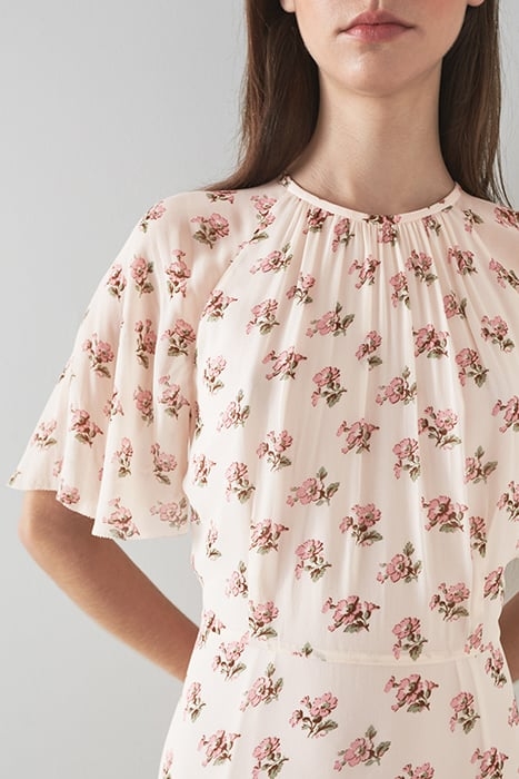 DR ELOWEN - PRIMULAR PRIN MULTI 5