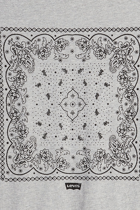 GRAPHIC PRINTED T-SHIRT GREY 7