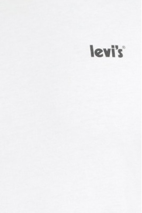 LSEGRAPHIC CREWNECK TE SMALL SEASONAL P 5