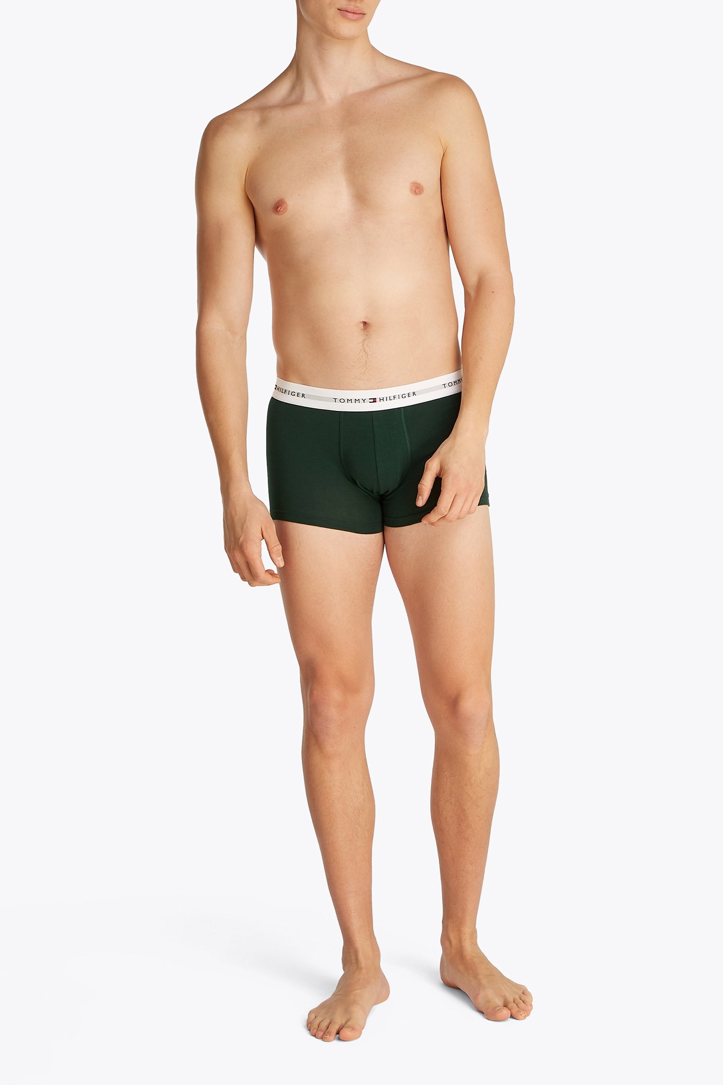 3 PACK TRUNK HUNTER/STONEWASH GR/DES SKY 3