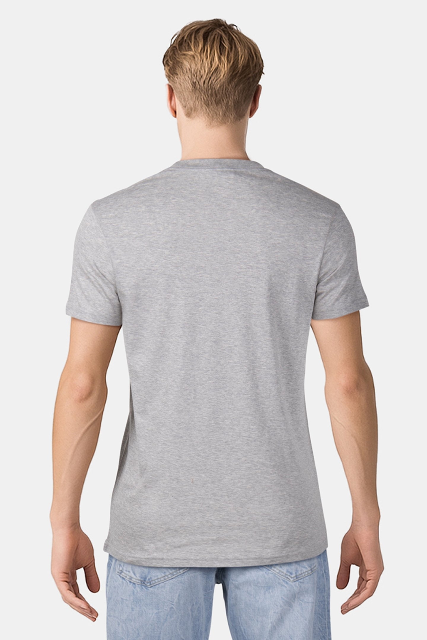 REG FIT TSHIRT ZEBRA REPEAT GREY MELANGE 2