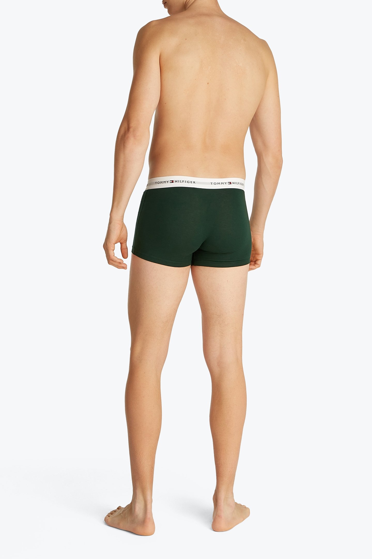 3 PACK TRUNK HUNTER/STONEWASH GR/DES SKY 4