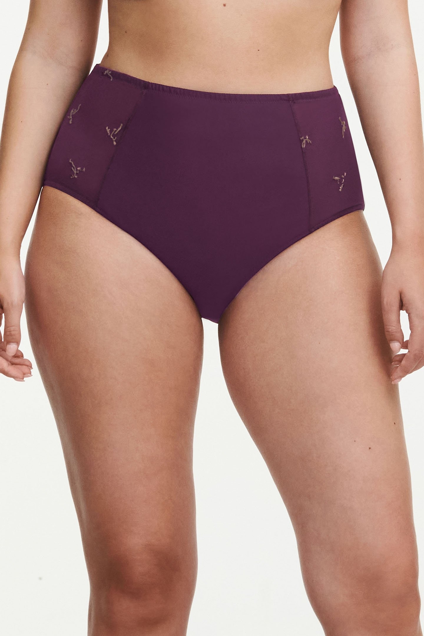 CO BO. FULL BRIEF SUPPORT HIGH W. AUBERGINE SHADES 1