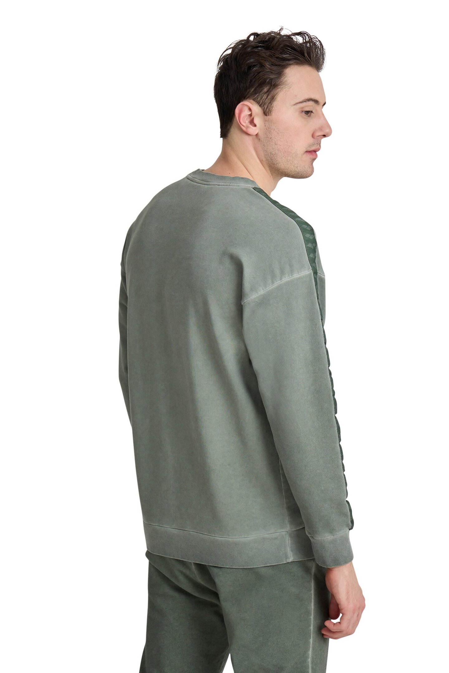 ARENA ICONS SWEAT OVERSIZE SAGE DELAVE 3