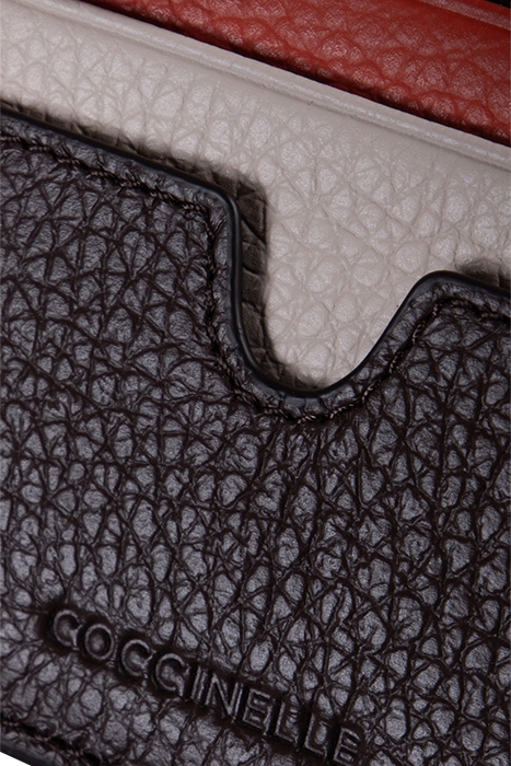 CARD HOLDER IN LEATHER 4