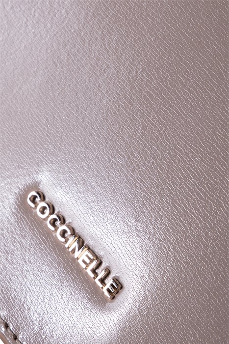 CROSS BODY BAG IN GRAINED LEATHER 6