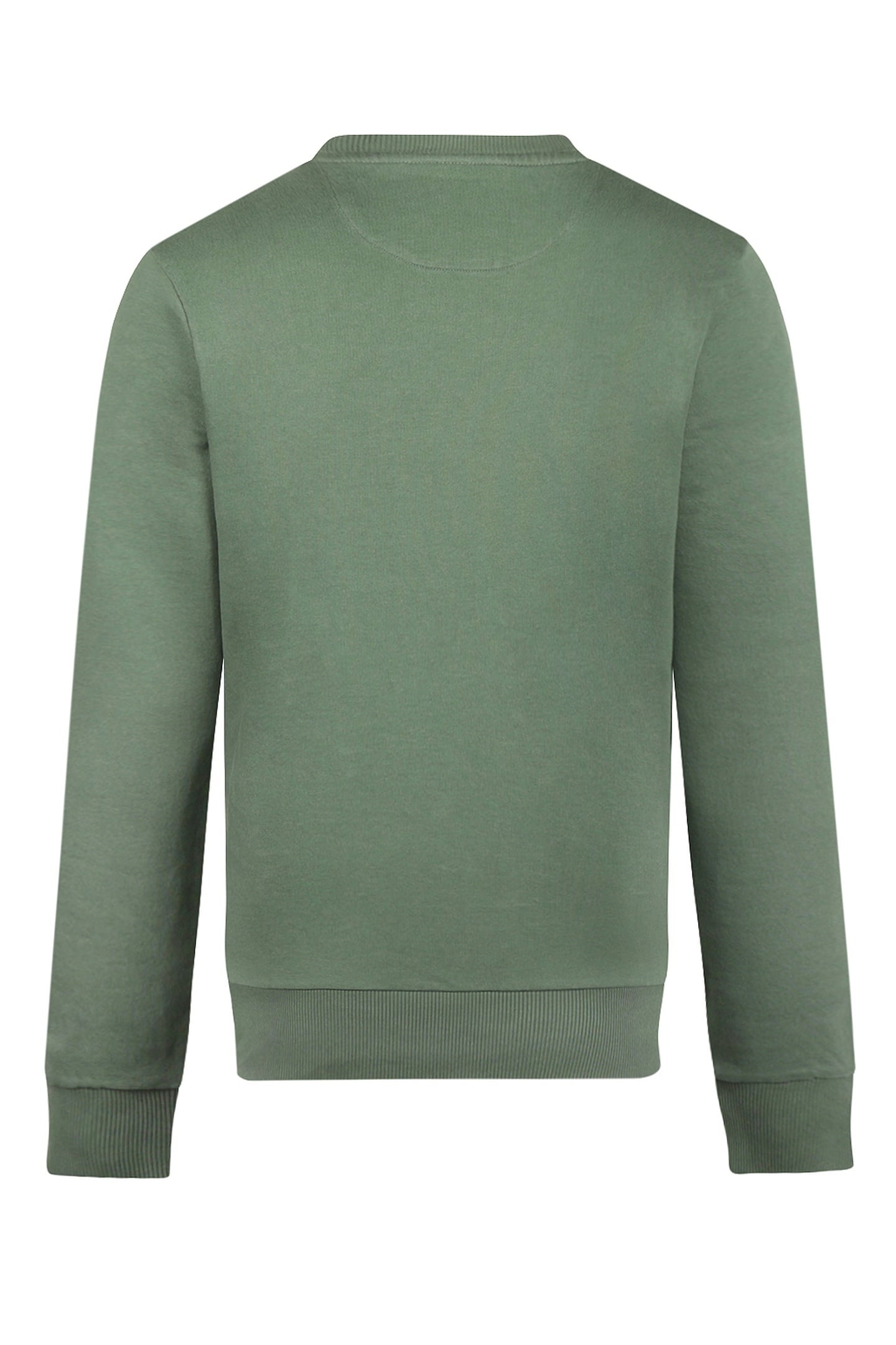 GRAPHIC HOODY MCGREGOR WINTER SAGE 2