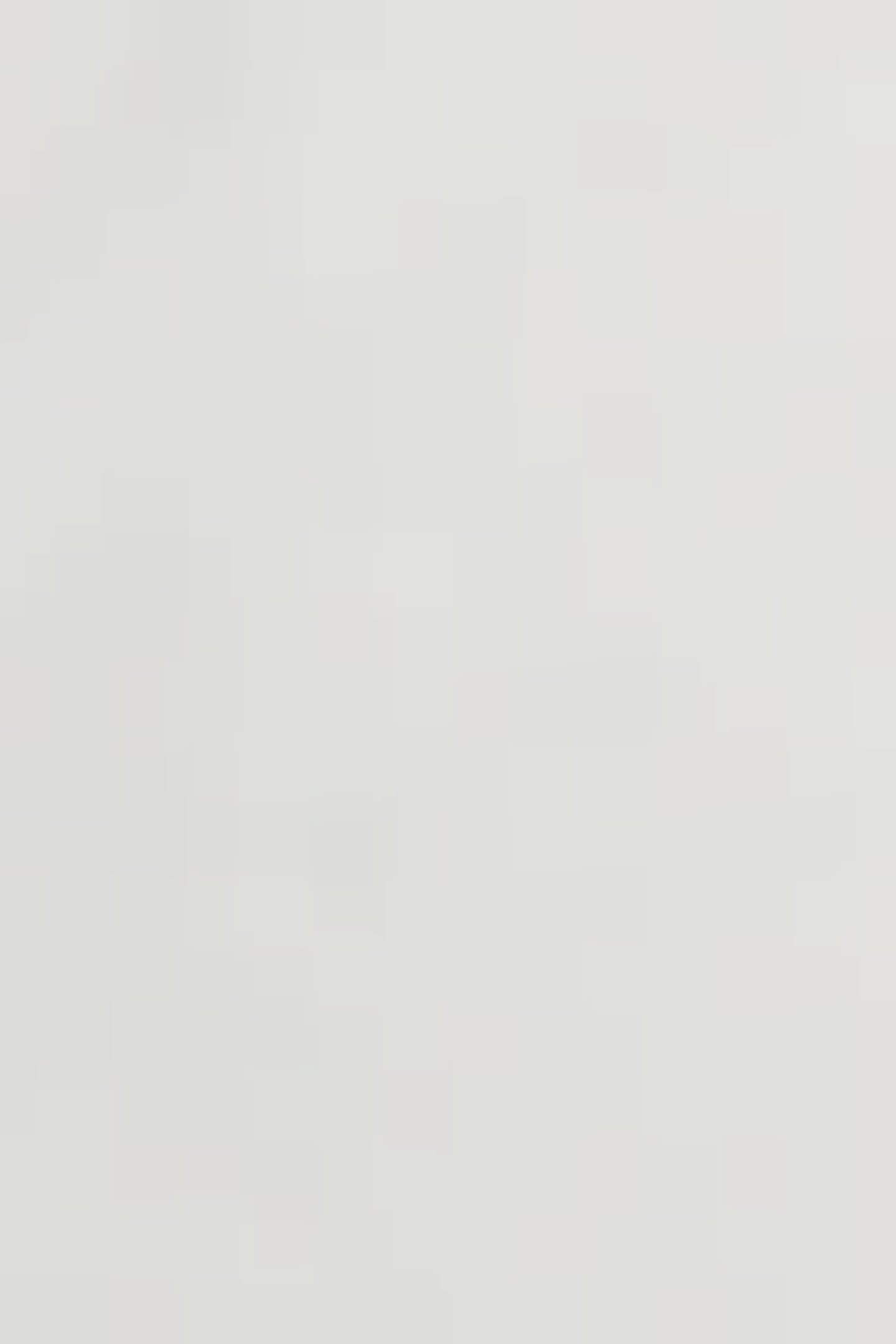 DETROIT ZG OFF WHITE 5