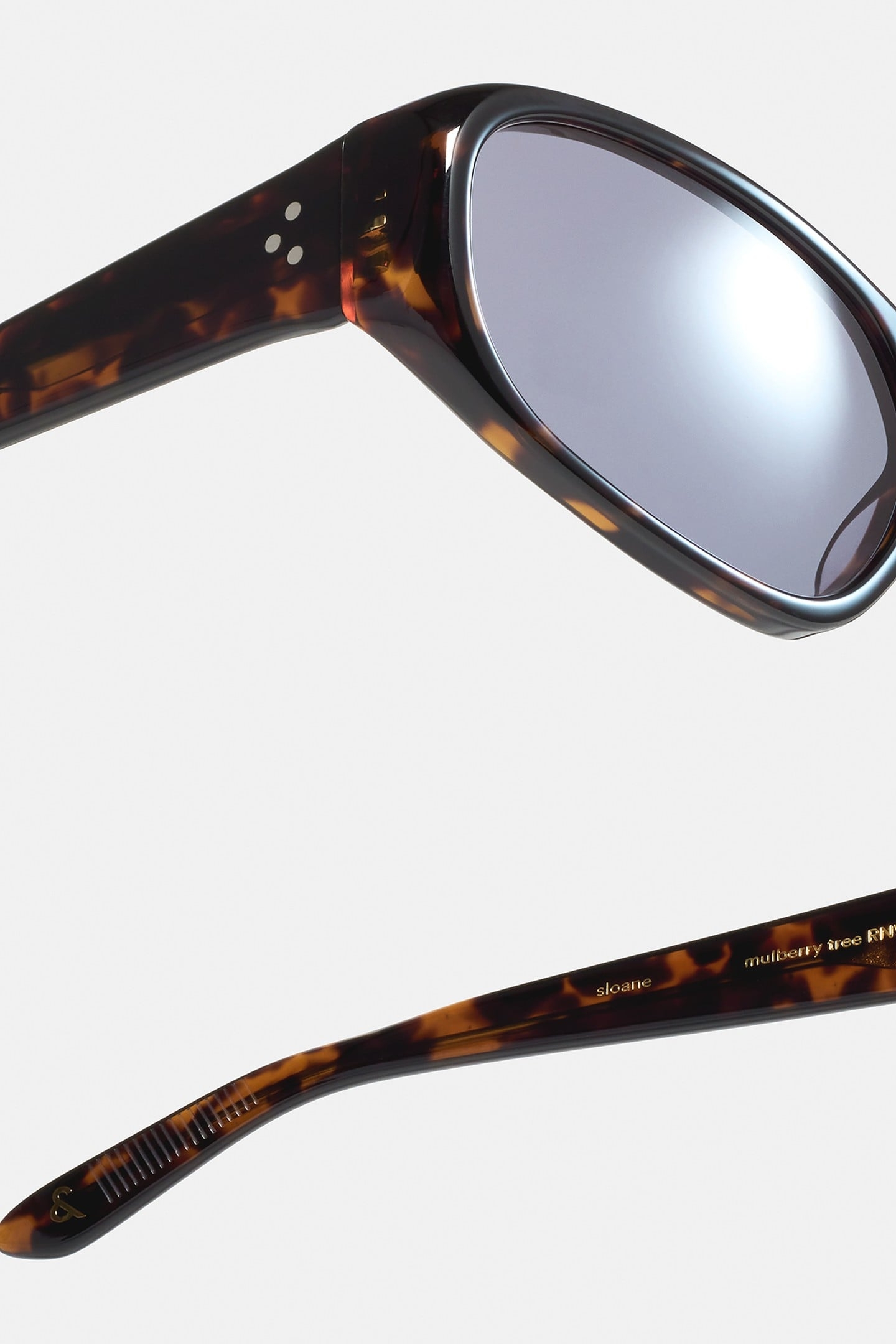 SLOANE-MULBERRY-TREE-SUN 4