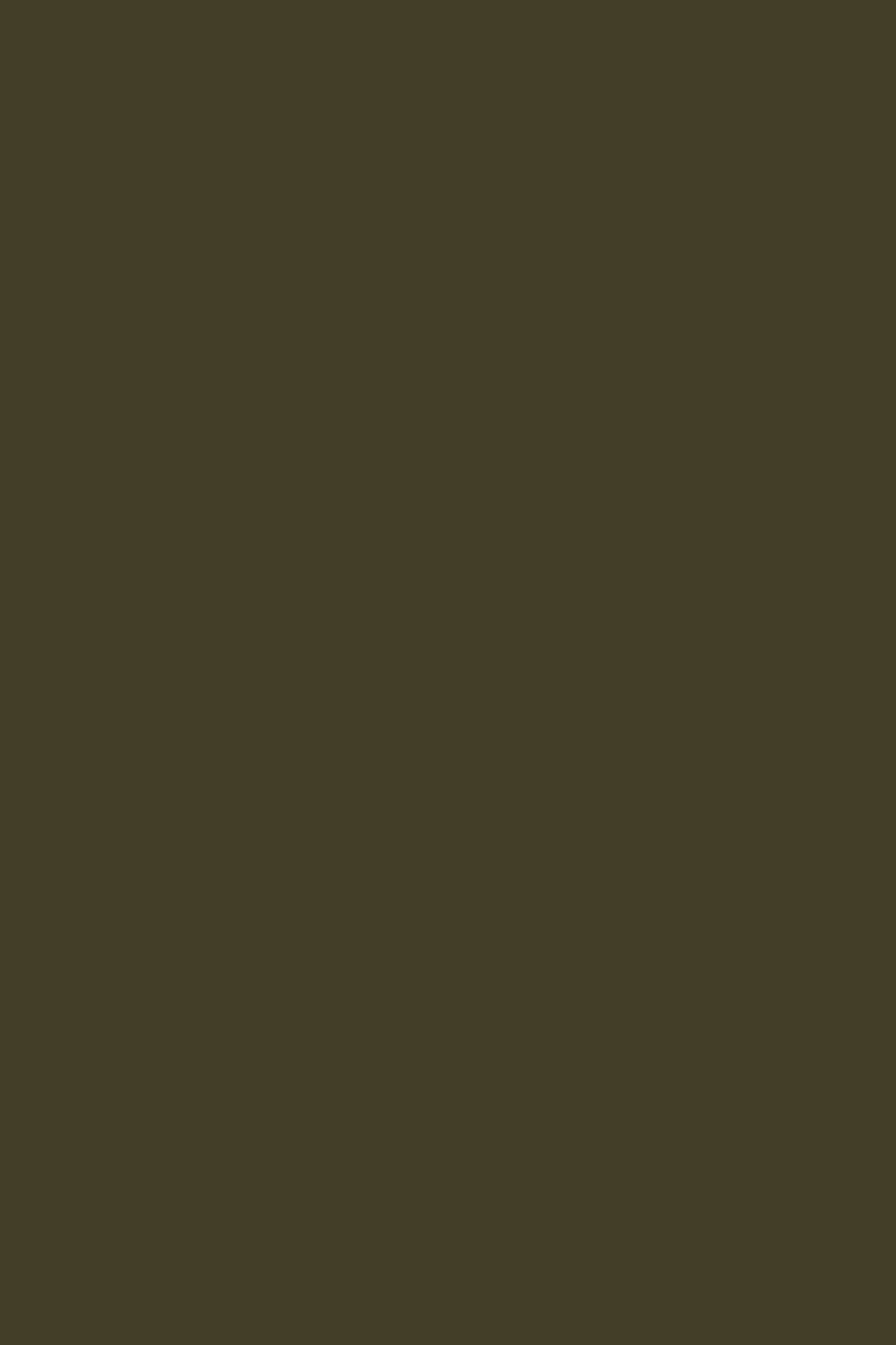 KEEG PULLOVER KHAKI 6