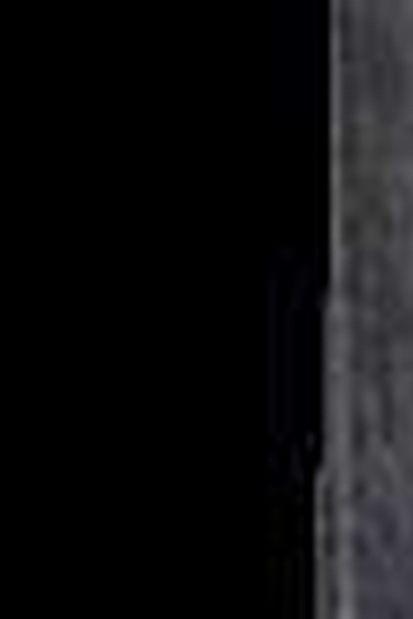 SILVER METALLIC WIDE LEG DENIM PANTS 3