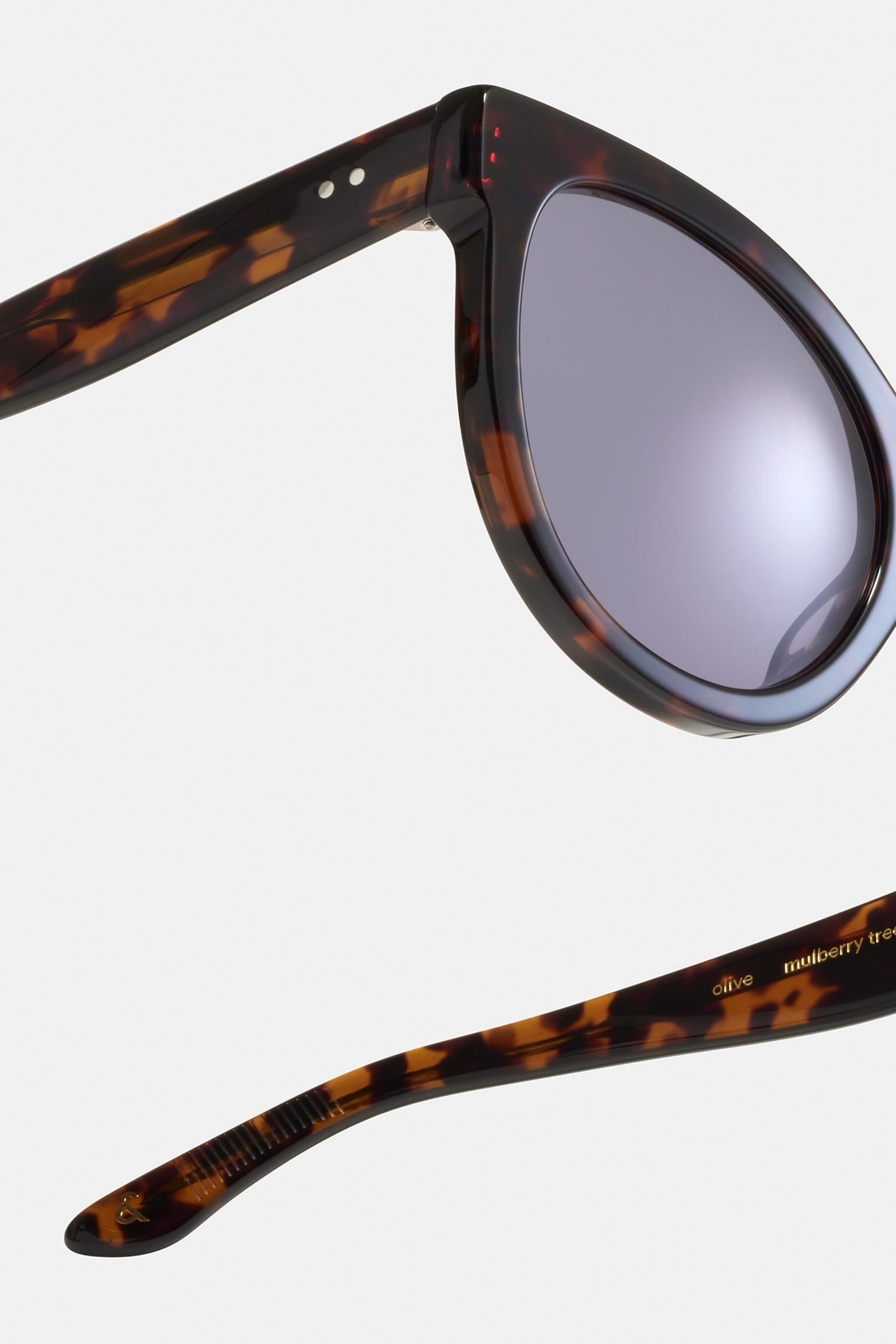 OLIVE-MULBERRY-TREE-SUN 4