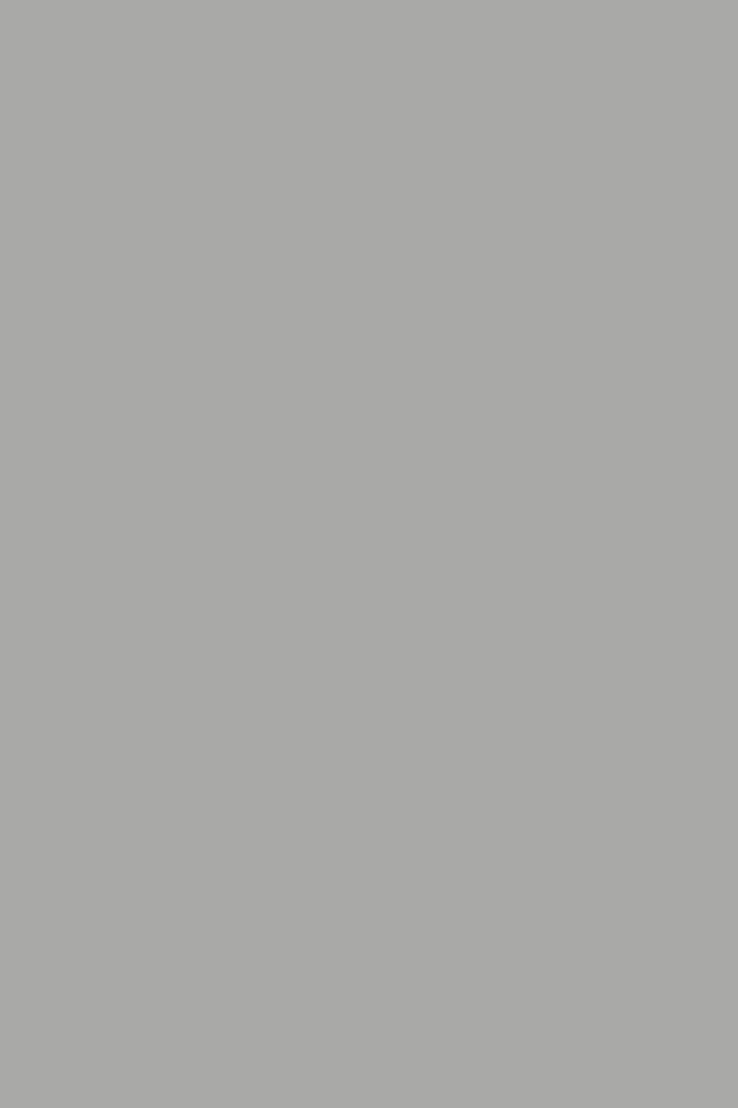 NEWHAN OUTERWEAR SMOKE GREY 6