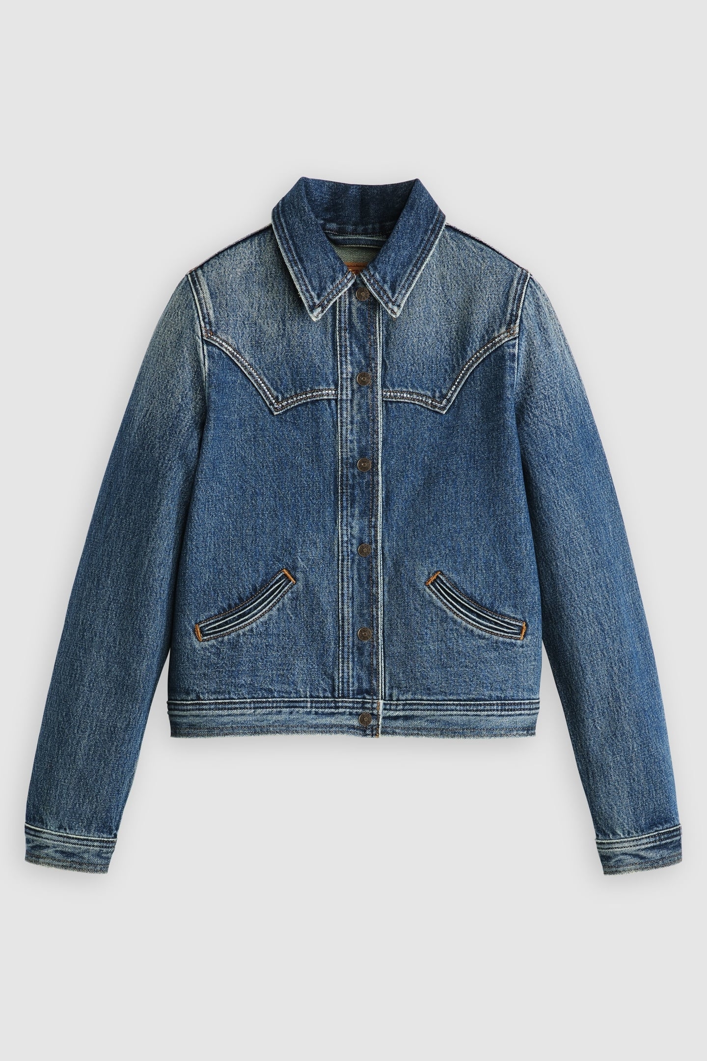 ORIGINAL TRUCKER BLING SHOW ON THE ROAD 4