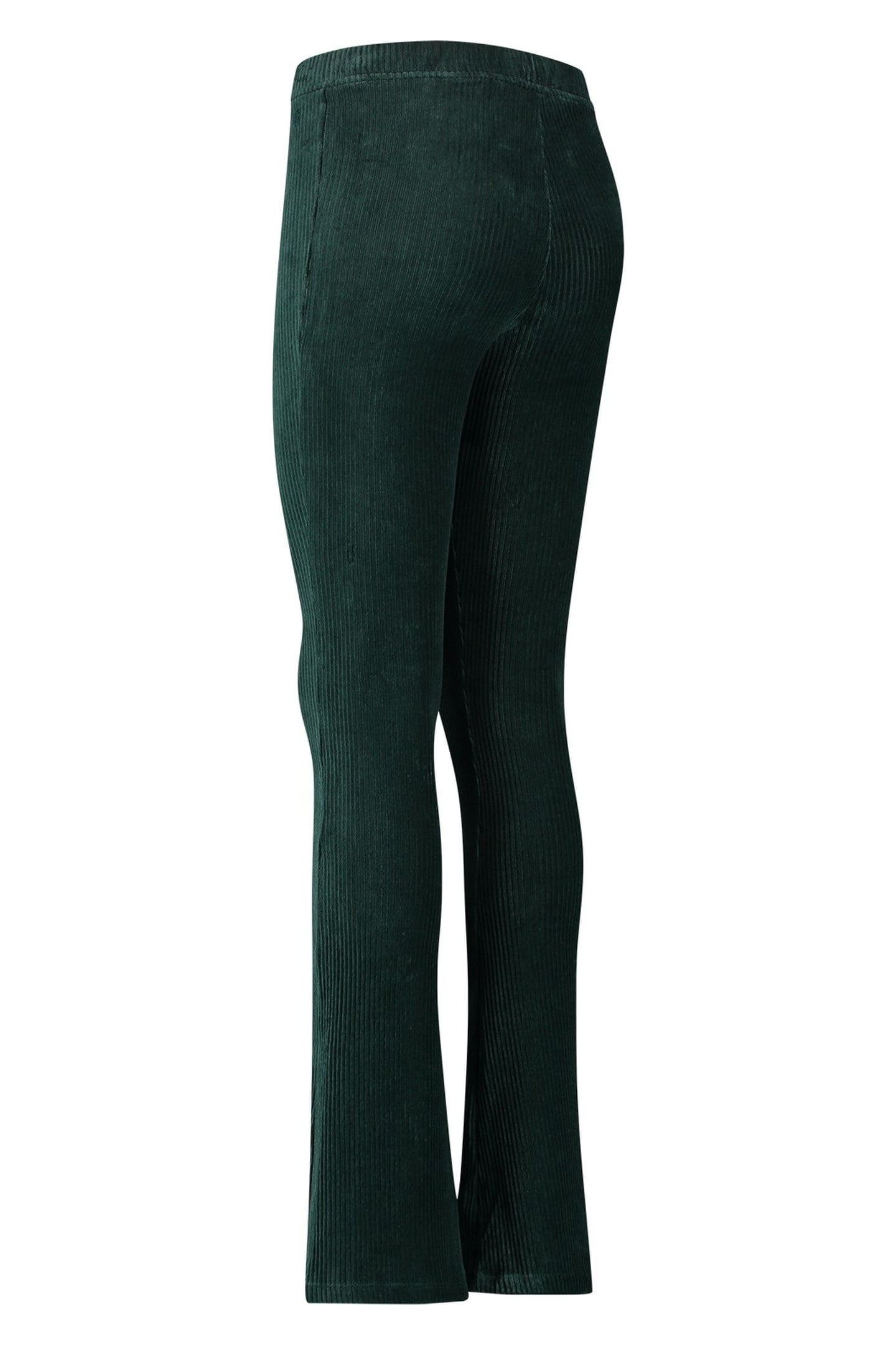 SAHANA NEW FIR GREEN 3