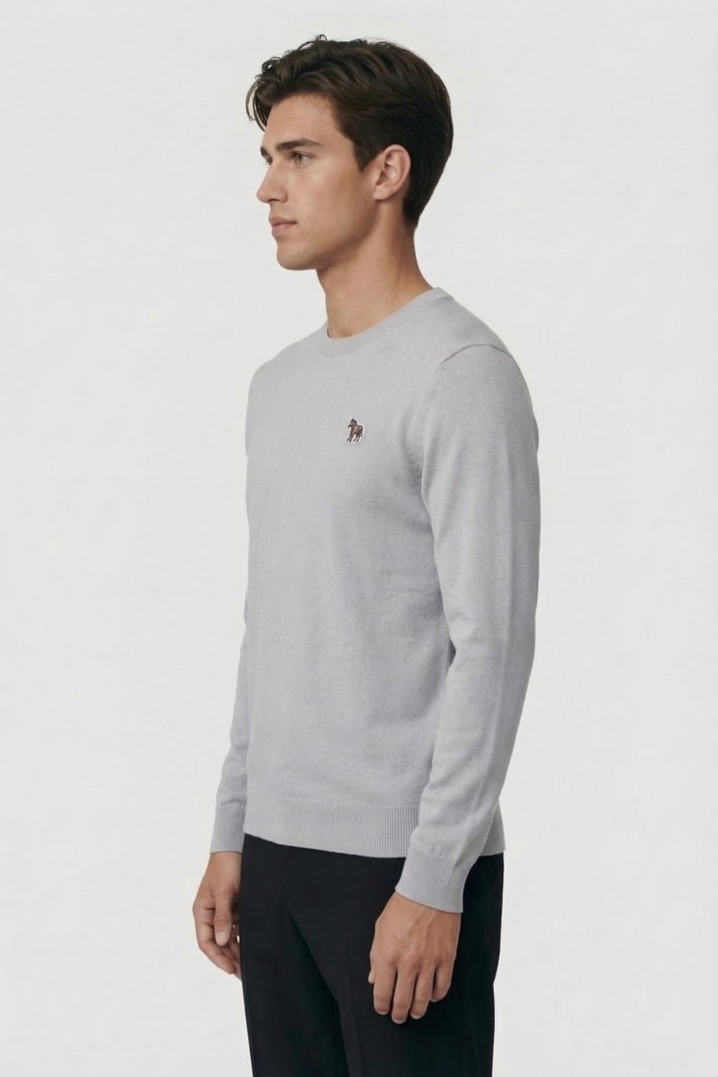 SWEATER CREW NECK ZEB BAD GREY 3