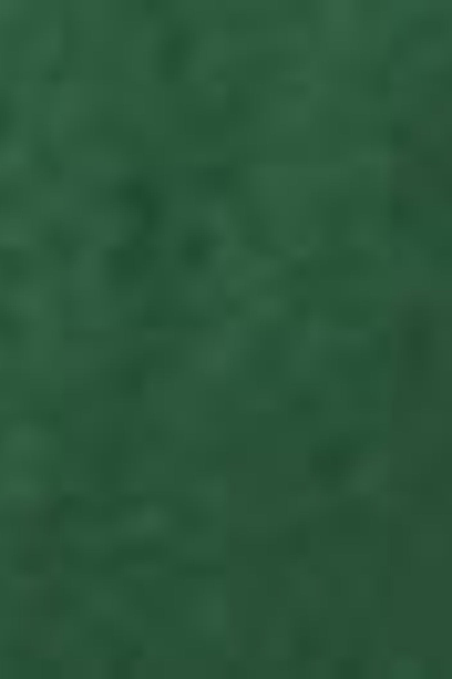 SHORT SLEEVE WORKER SHIRT GREEN 6