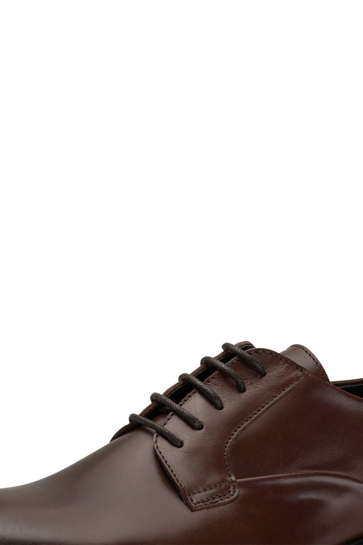 STB-STANLEY DERBY L CHESTNUT 7