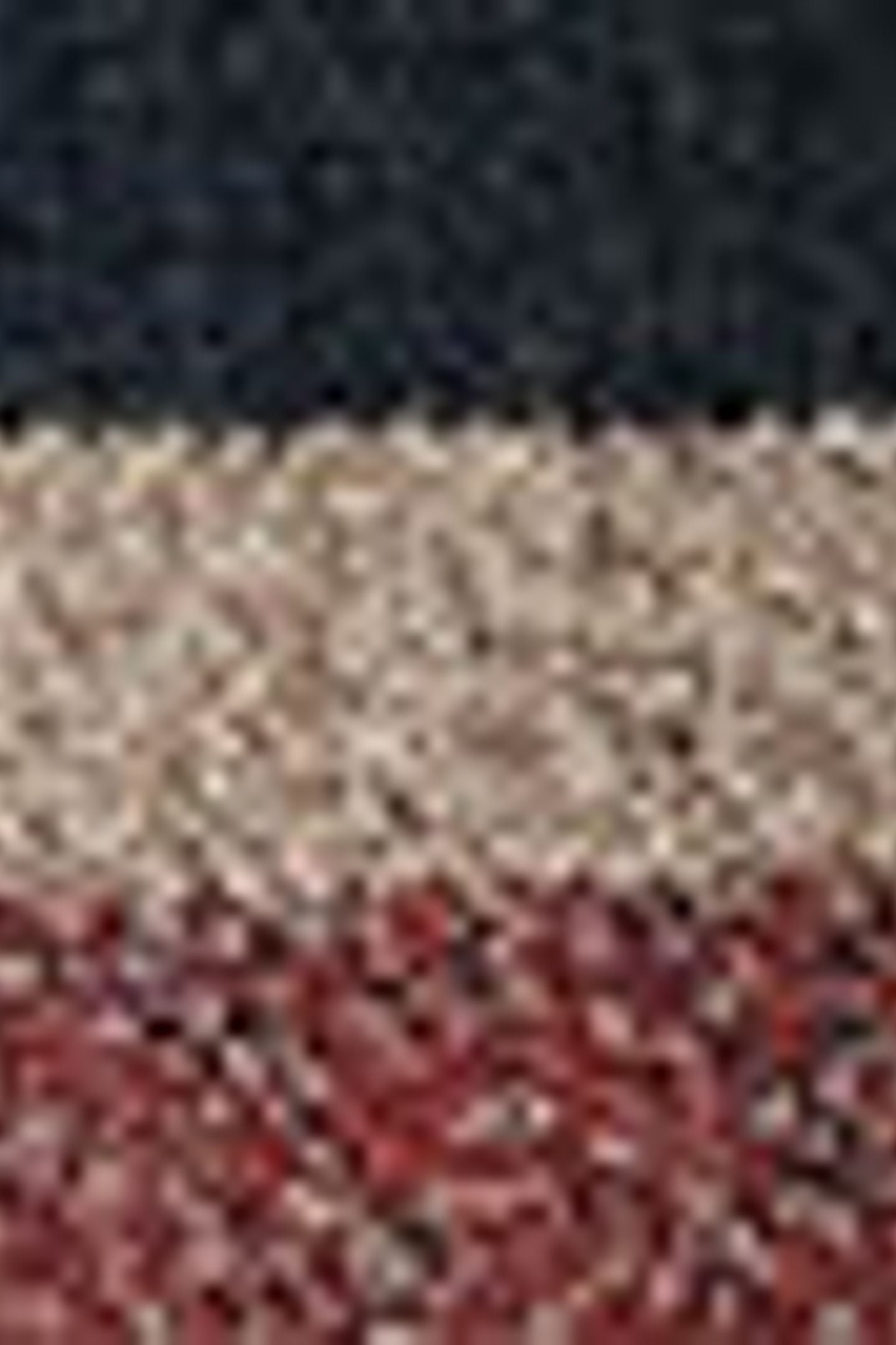 REDWOOD RUGBY SWEATER MULTI COLOUR 5