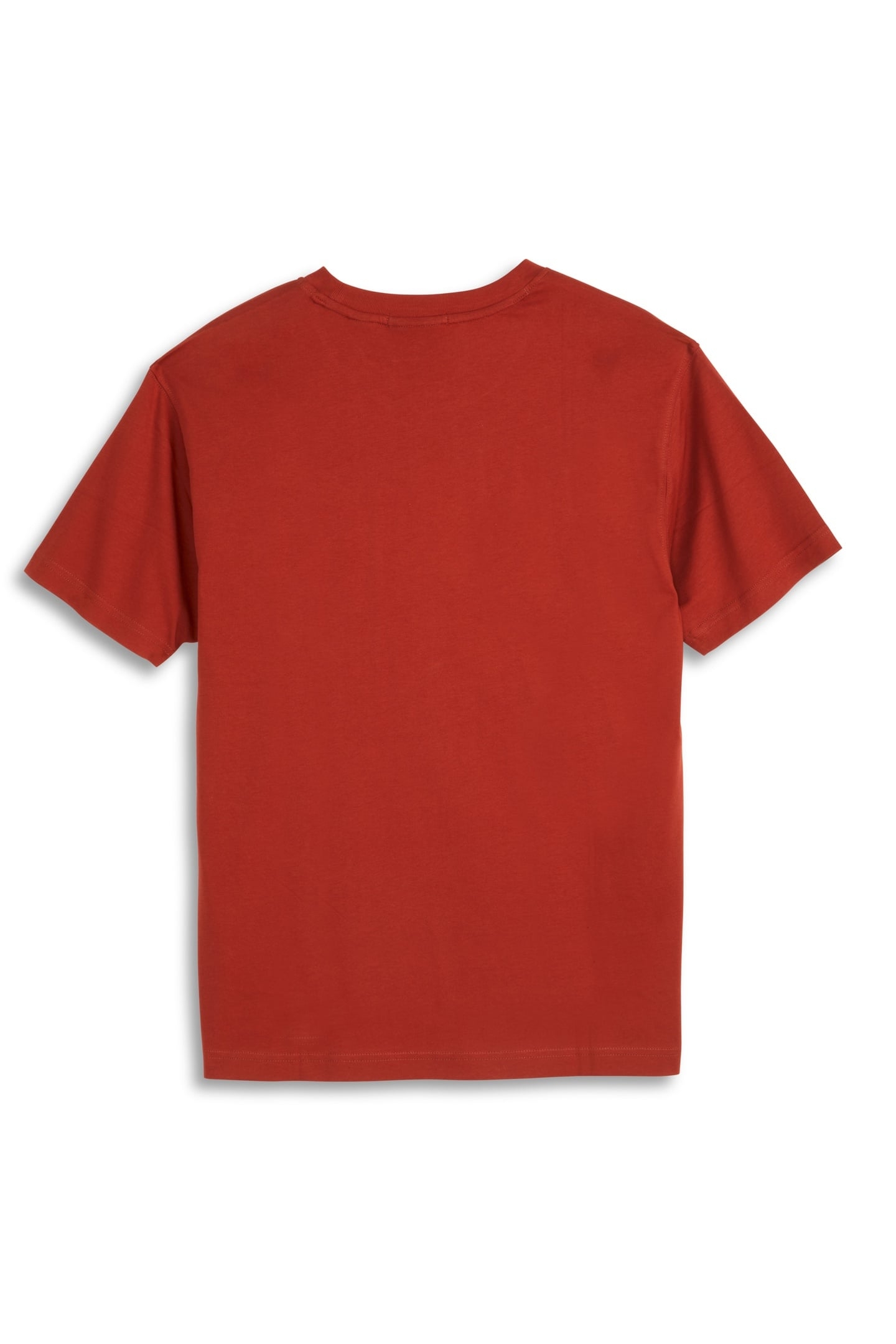 GRAPHIC TEE BURNT HENNA 2