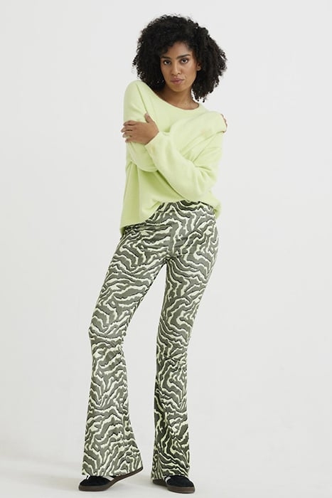 TR WILLOW SEA TURTLE 1