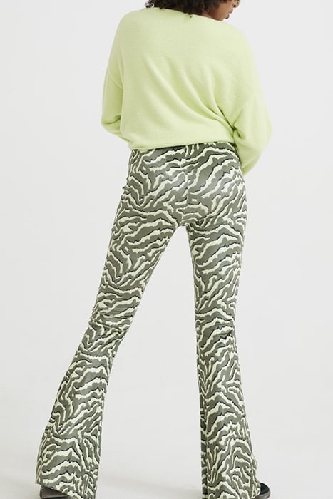 TR WILLOW SEA TURTLE 2