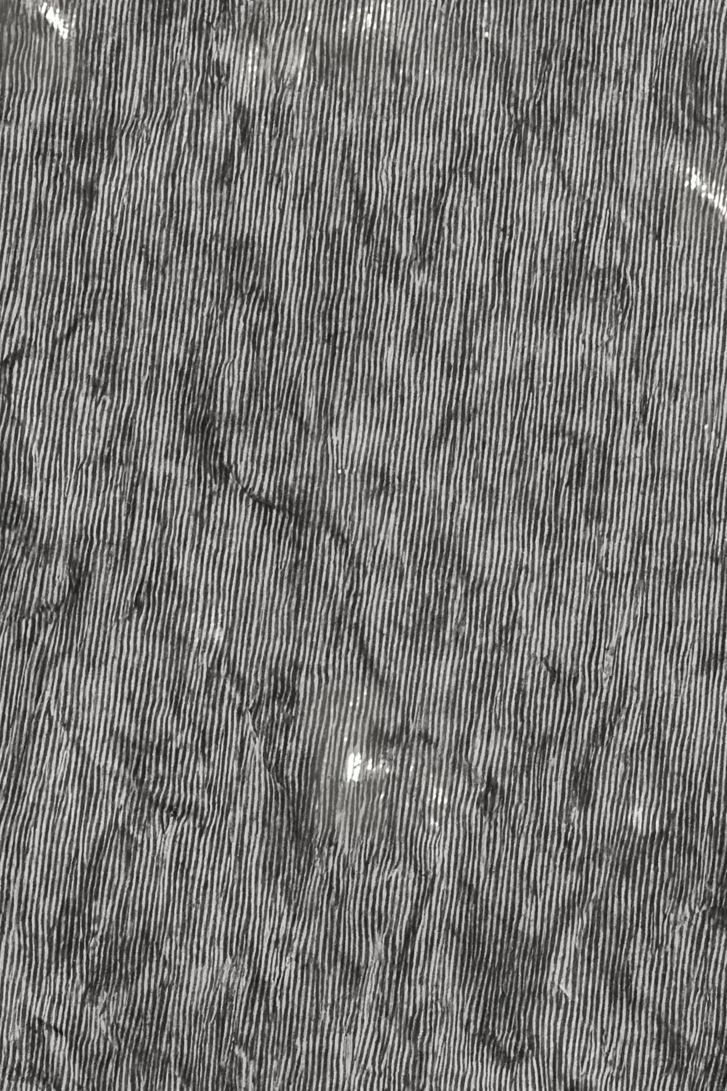 WIDE LEG JUMPSUIT EVENING BLACK 8