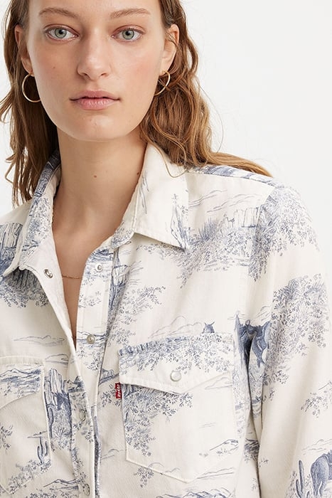 ICONIC BUTTON-DOWN SHIRT MULTICOLOUR 5