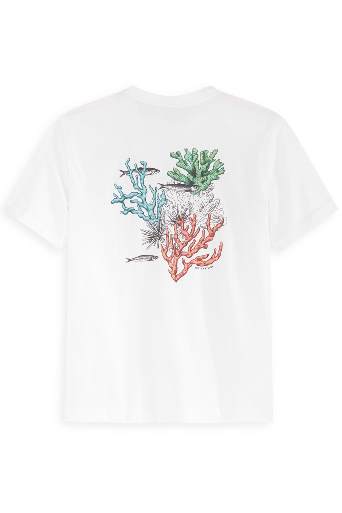 BOYS S&S GRAPHIC TEE WHITE TRADITIONAL 2