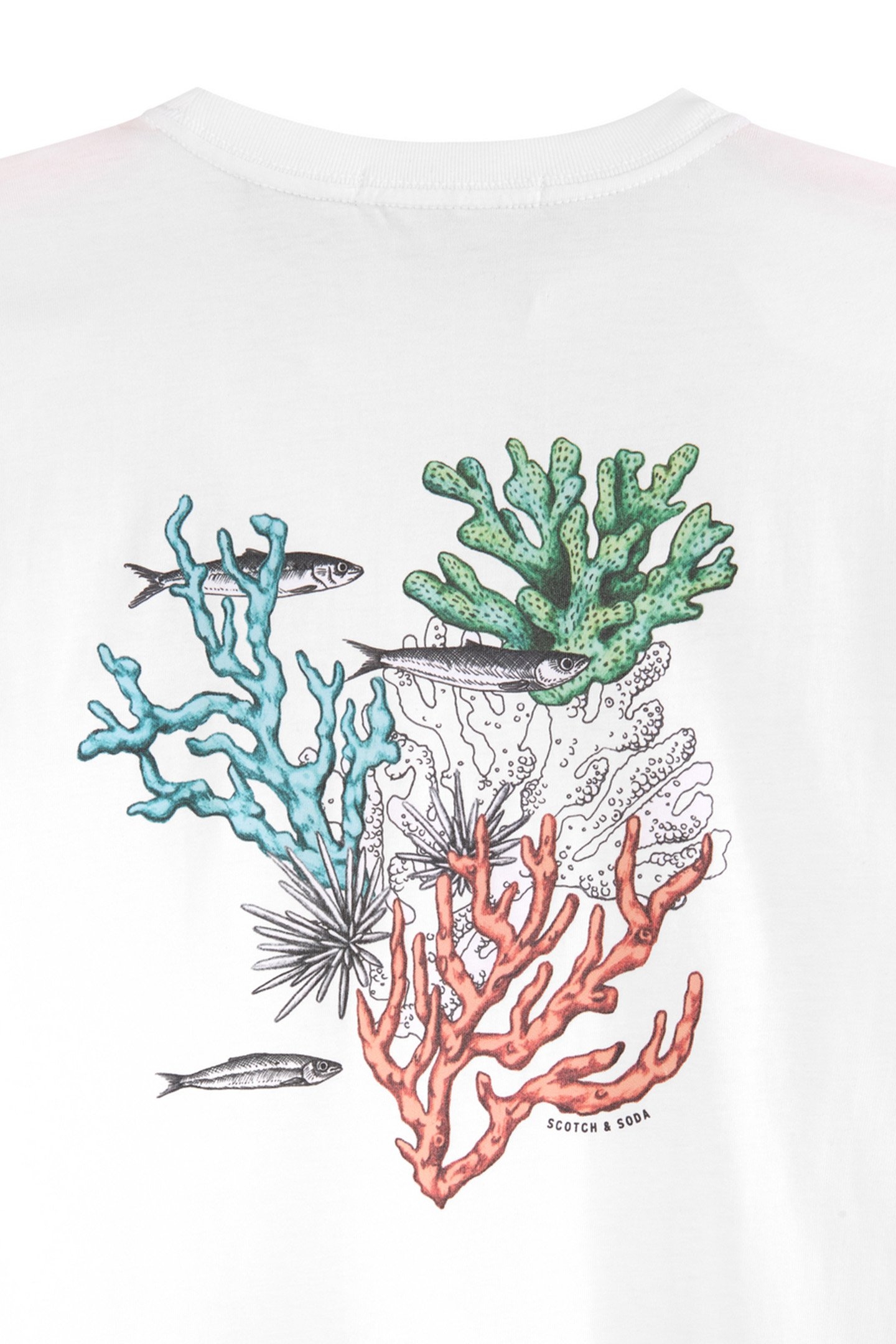 BOYS S&S GRAPHIC TEE WHITE TRADITIONAL 3