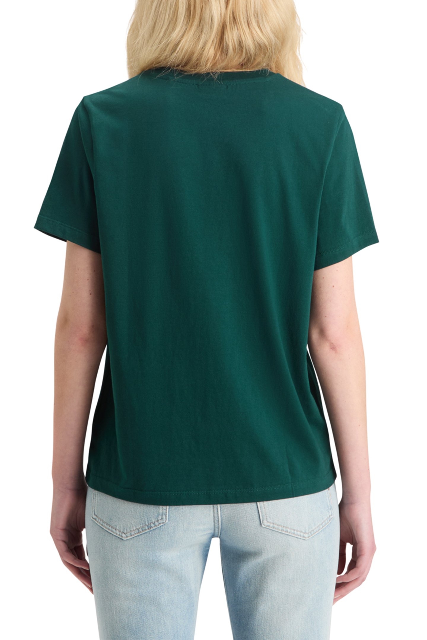 CHEST ARTWORK REGULAR FIT T-SHIRT CYPRESS GREEN 2