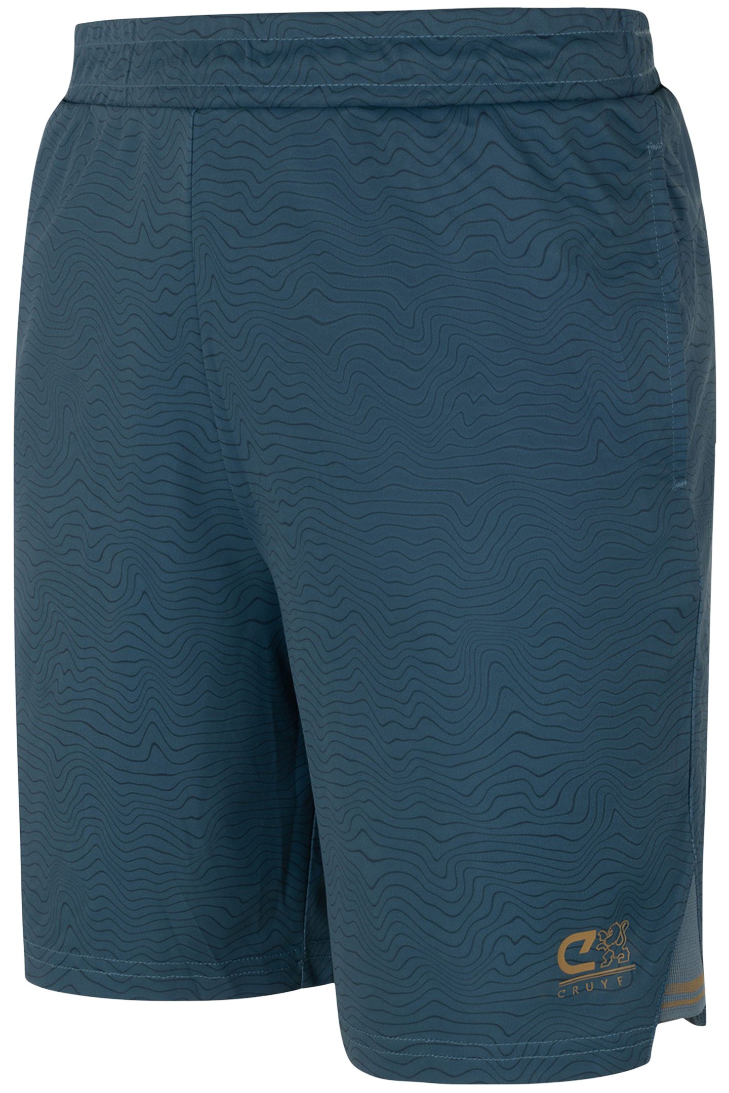 ICON SHORTS TEAL 2