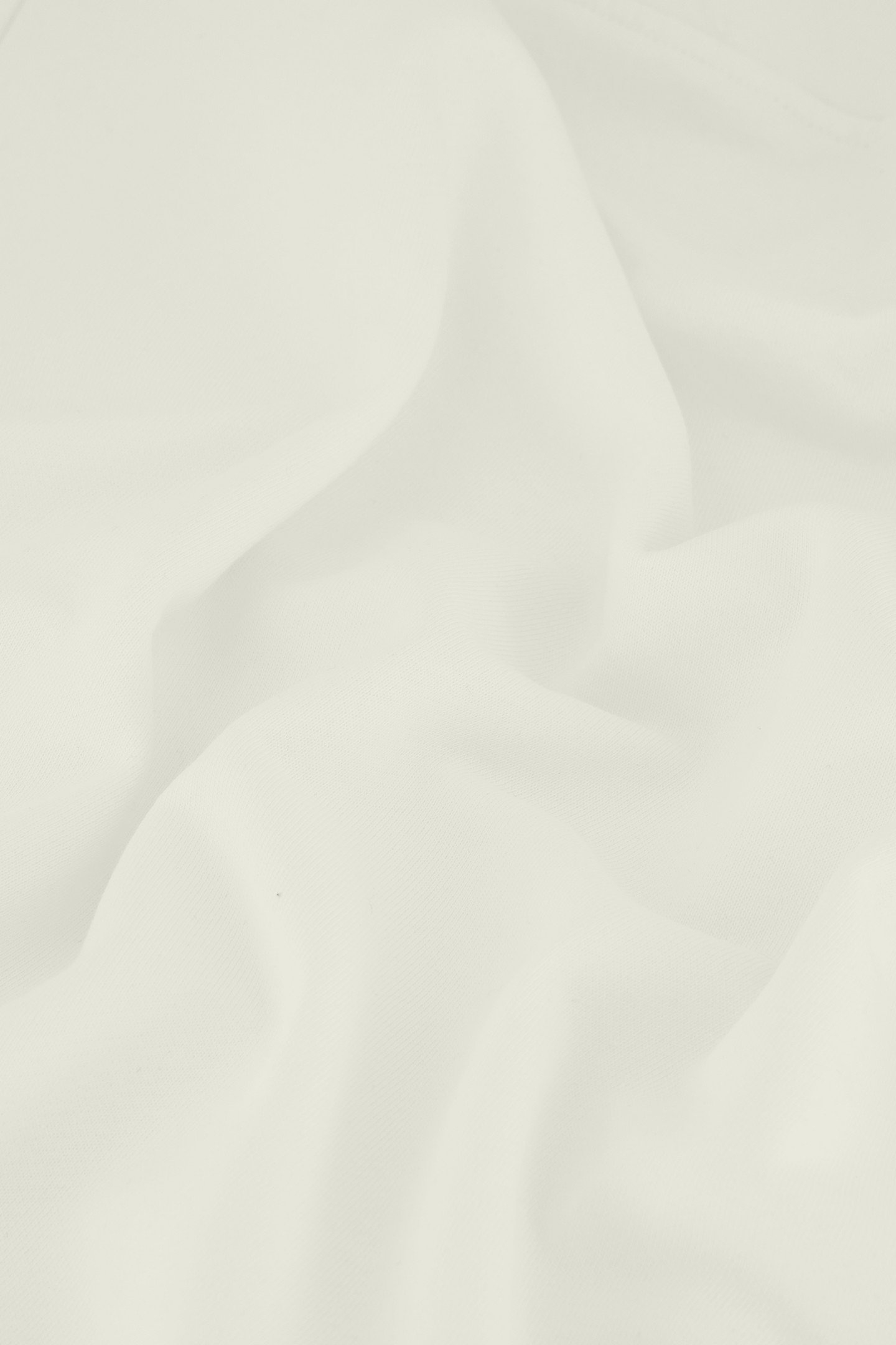 ICON SWEATSHIRT OFF WHITE 5